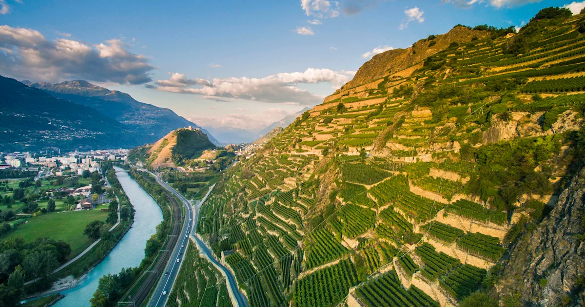 Taxi Sion – Vue panoramique du Valais Vue panoramique de Sion et des vignobles du Valais – Excursions en taxi depuis Sion